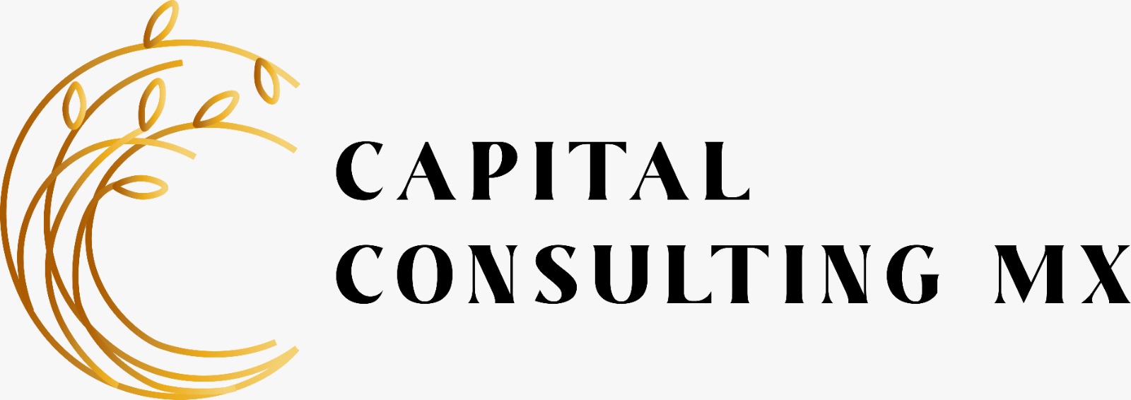 Capital Consulting México